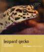 Leopard Gecko - Pet Expert - Preview