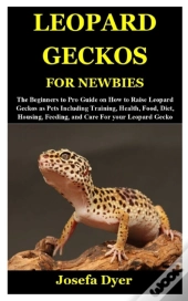 Leopard Geckos For Newbies
