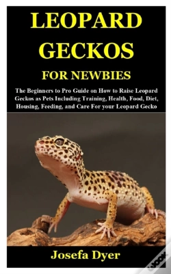 Capa do artigo Leopard Geckos For Newbies
