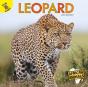 Leopard - Preview