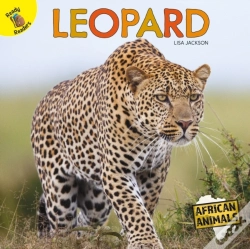 Capa do artigo Leopard