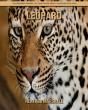 Leopard - Preview