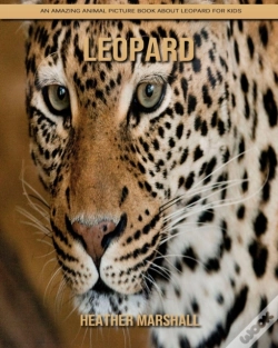 Capa do artigo Leopard