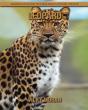 Leopard - Preview