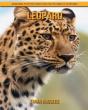 Leopard - Preview
