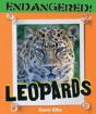 Leopards - Preview