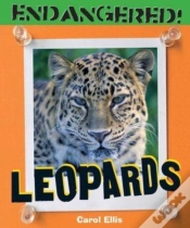 Capa do artigo Leopards