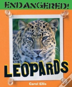 Capa do artigo Leopards