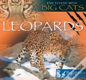 Capa do artigo Leopards
