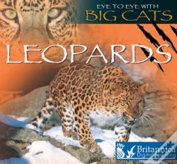 Capa do artigo Leopards