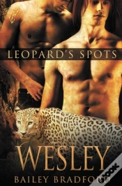 Capa do artigo Leopard