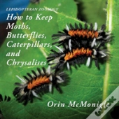 Lepidopteran Zoology