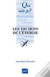 Les 100 Mots De L'Énergie
