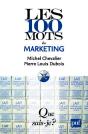 Les 100 Mots Du Marketing - Preview