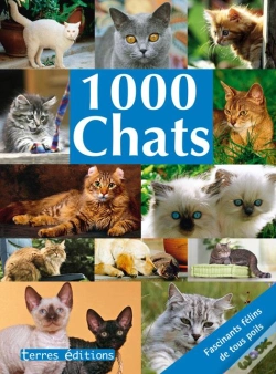 Capa do artigo Les 1000; Chats
