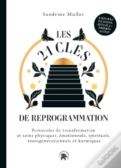 Capa do artigo Les 21 Clés De Reprogrammation : Protocoles De Transformation Et Soins Physiques, Émotionnels, Sprituels, Transgénérationels Et Karmiques