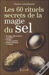 Les 60 Rituels Secrets De La Magie Du Sel
