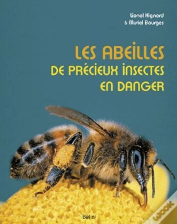 Capa do artigo Les Abeilles, De Précieux Insectes En Danger