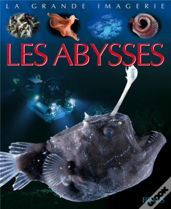 Capa do artigo Les Abysses