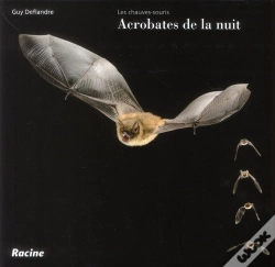 Capa do artigo Les Acrobates De La Nuit