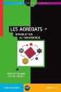 Les Agrégats ; Introduction Au Nanomonde - Preview