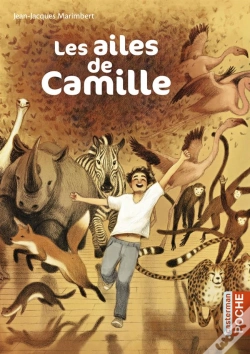 Capa do artigo Les Ailes De Camille