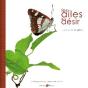 Les Ailes Du Desir... Ou La Vie Revee Des Papillons - Preview