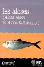 Les Aloses Alosa Et Alosa Fallax Spp. - Bagliniere/Les Aloses Alosa Et Alosa Fallax Spp./ - Preview