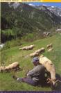 Les Alpes Francaises - Preview