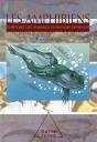 Les Amphibiens - Preview