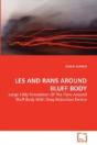 Les And Rans Around Bluff Body - Preview