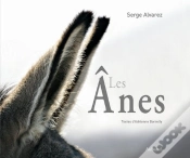 Capa do artigo Les Ânes