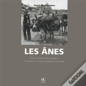 Les Ânes ; Ânes, Mulets Et Bardots À Travers La Carte Postale Ancienne