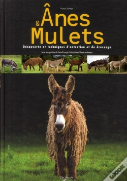 Capa do artigo Les Ânes Et Les Mulets