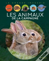 Les Animaux De La Campagne