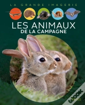 Capa do artigo Les Animaux De La Campagne