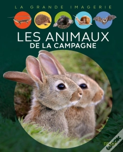 Capa do artigo Les Animaux De La Campagne
