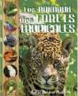 Les Animaux De La Forêt Tropicale - Preview