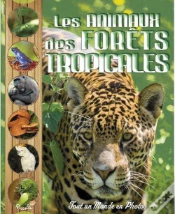 Capa do artigo Les Animaux De La Forêt Tropicale