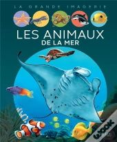 Les Animaux De La Mer