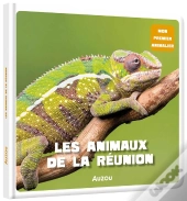 Les Animaux De La Réunion
