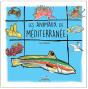 Les Animaux De Méditerranée - Preview