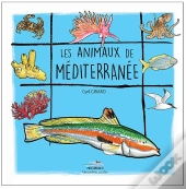 Les Animaux De Méditerranée