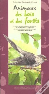 Les Animaux Des Bois Et Des Forets