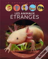 Les Animaux Étranges