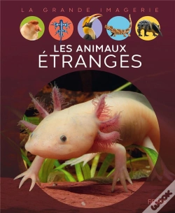 Capa do artigo Les Animaux Étranges