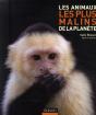 Les Animaux Les Plus Malins De La Planète - Preview