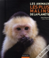 Les Animaux Les Plus Malins De La Planète