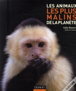 Capa do artigo Les Animaux Les Plus Malins De La Planète