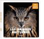 Les Animaux Nocturnes - Preview